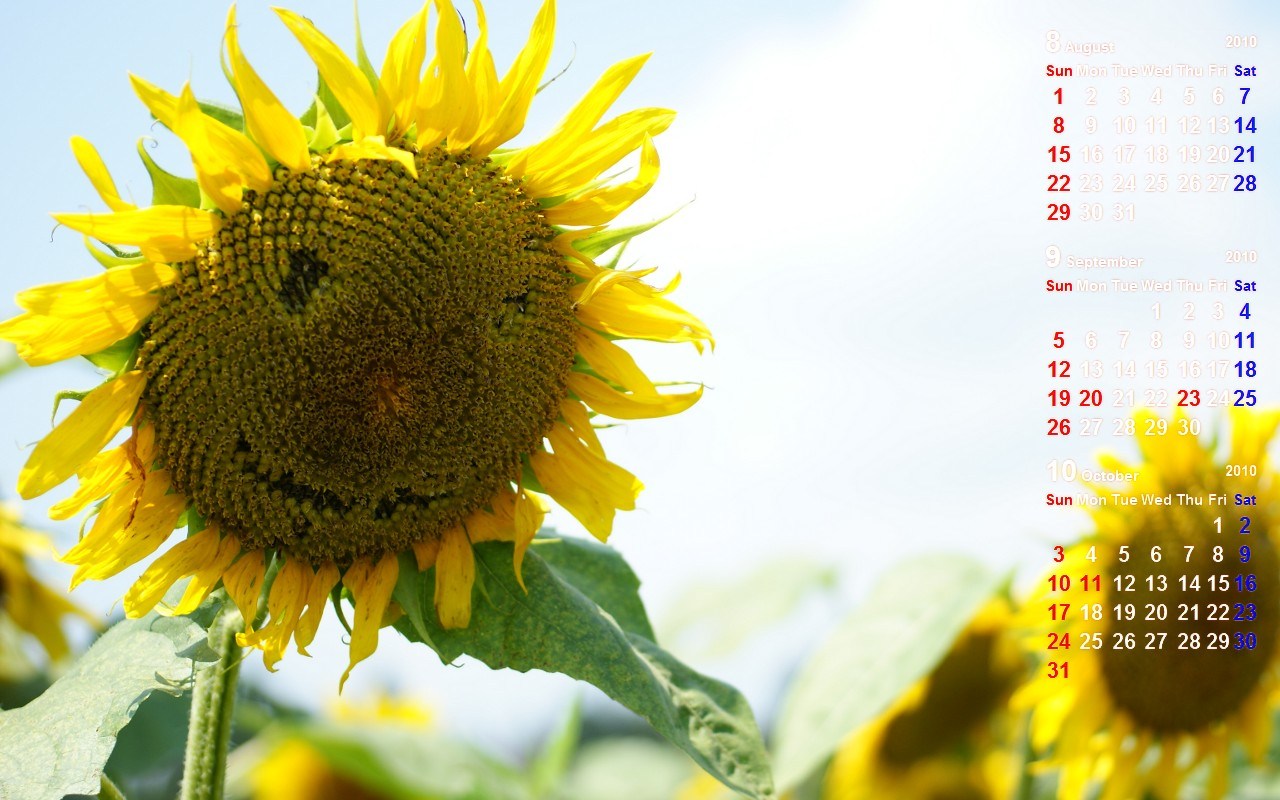 ウェルカムボードやリングピロー ガラス彫刻とお花の店 サウスショア