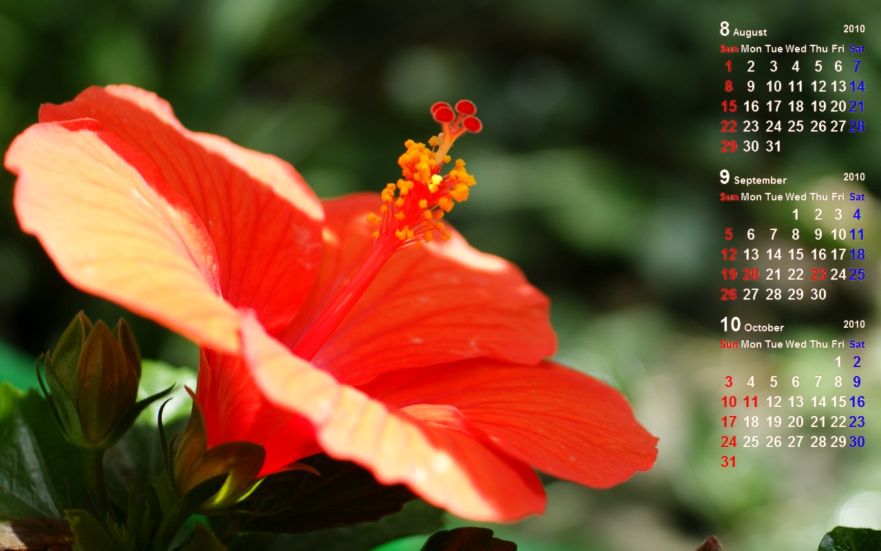 ウェルカムボードやリングピロー ガラス彫刻とお花の店 サウスショア